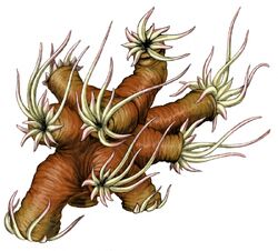 Flyingpolyp2