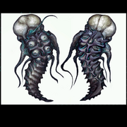 Chykka Larva