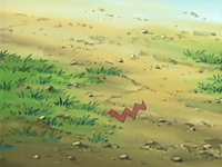 EP433 Kecleon invisible