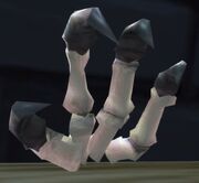 Shrunken Dragon's Claw