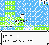 Pescando en Amarillo