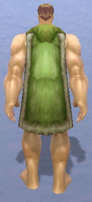 Forest Cloak, Snow Background, Human Male