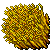 Wheat