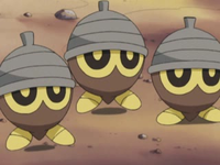 EP304 Seedot
