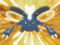 EP579 Heracross usando megacuerno