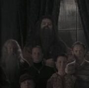 Order-Hagrid