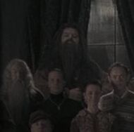 Order-Hagrid