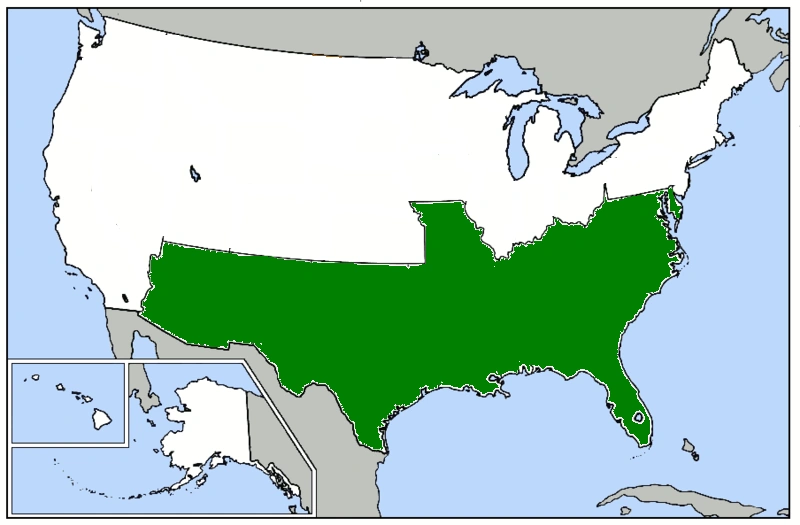 Confederate States (British Commonwealth) Alternative History