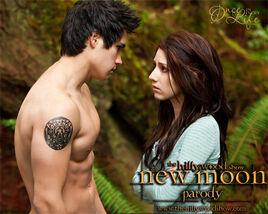 The Hillywood show newmoon