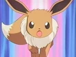 EP185 Eevee de Sakura