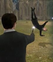 Levicorpus