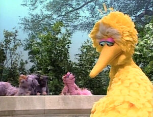 BigBirdDoesn'tFly