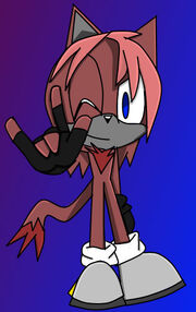 ZackTheCat