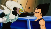 PuiPui4