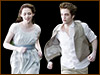 Twilight vampirehunt 100x75