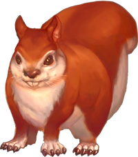 Squirrel