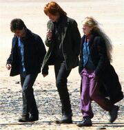 Bill walking with Harry and Luna at Shell Cottage