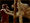 Twilight defendpack 100x75