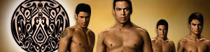 Twilight wolfpackleader 300x75-1