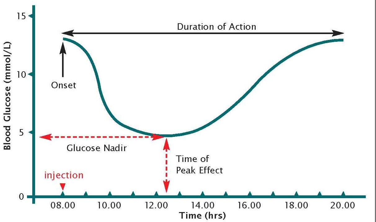 Nadir Canine Diabetes Wiki