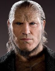 Fenrir23