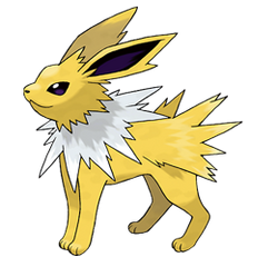 135Jolteon