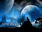 Moon and wolf nm
