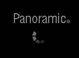 Logo Panoramic PDA