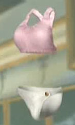 DOAXFlamingo.jpg