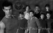 Jacob-black-taylor-lautner-new-moon
