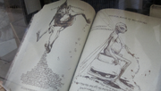 Le Monstrueux Livre des Monstres 2