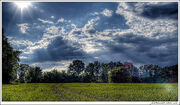 Junglesky