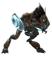 HReach - Skirmisher