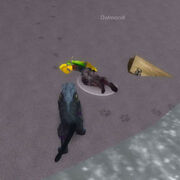 Dalmond cataclysm
