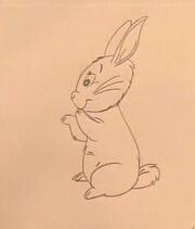 Freddie'sbunny