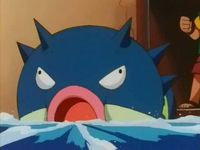 EP218 Qwilfish tragando agua (3)