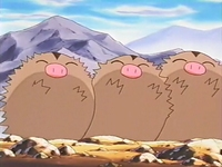 EP190 Swinub con el pelo erizado