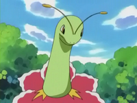 Archivo:EP263 Meganium (4).png