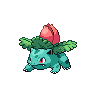 Ivysaur NB