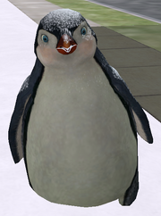 Pingüino