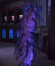 Suspiria Nacene