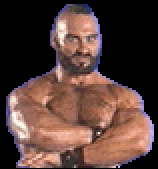 SFTMPortraitZangief