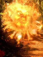 Ogre des Feuers