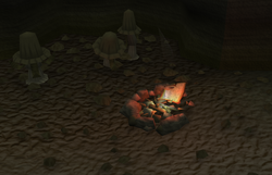 Fire remains