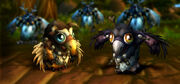 MoonkinHatchlings