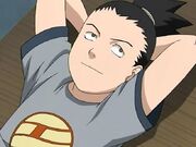 Shikamaru Niño