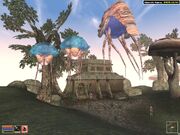 The Elder Scrolls III Morrowind
