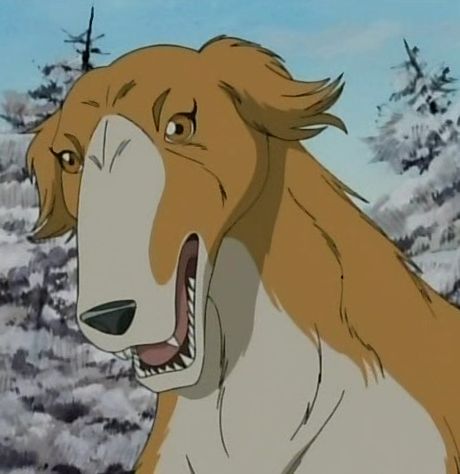 Rocket - Ginga Wiki - Gin, Ginga: Nagareboshi Gin