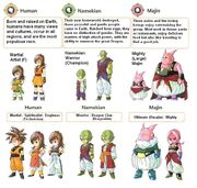 Dbo races eng