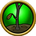 Dead plant